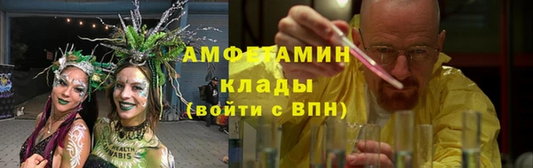 шишки Костерёво