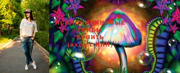 шишки Костерёво