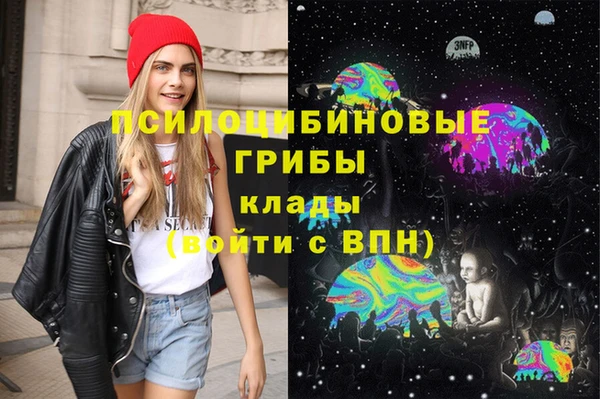шишки Костерёво