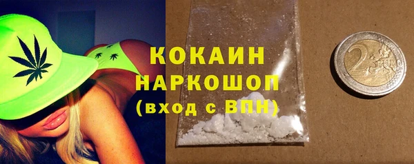 шишки Костерёво