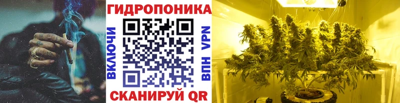kraken ссылки  Мещовск  Каннабис VHQ 